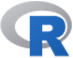 R Program